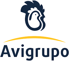 avigrupo